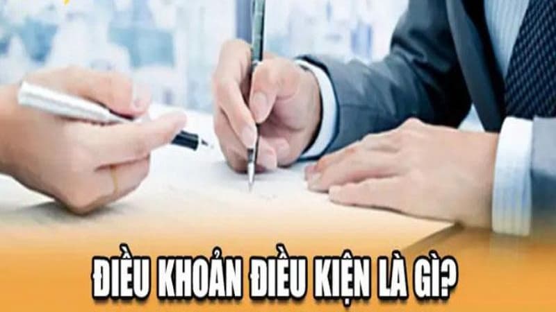 Điều khoản điều kiện là gì?