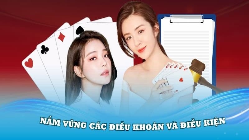 Nội dung cơ bản trong điều khoản điều kiện của Blue88